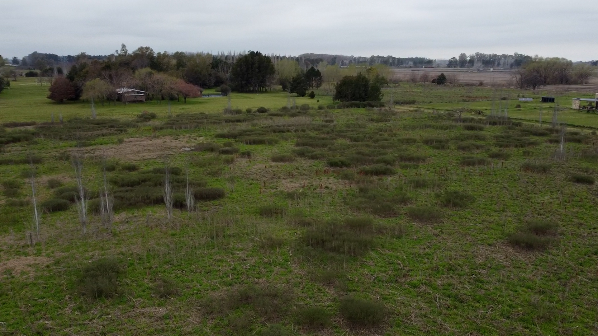 foto terreno RN7 01