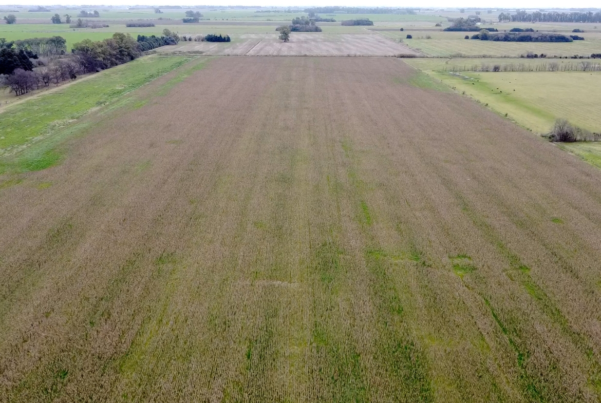 1170